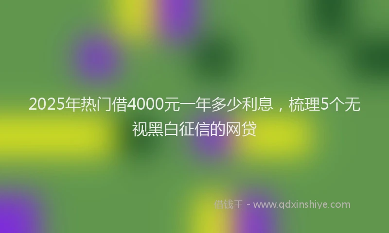 2025年热门借4000元一年多少利息，梳理5个无视黑白征信的网贷