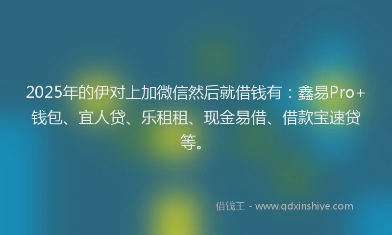 2025年的伊对上加微信然后就借钱有：鑫易Pro+钱包、宜人贷、乐租租、现金易借、借款宝速贷等。