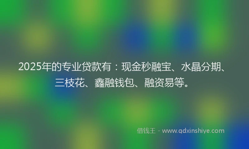 2025年的专业贷款有：现金秒融宝、水晶分期、三枝花、鑫融钱包、融资易等。