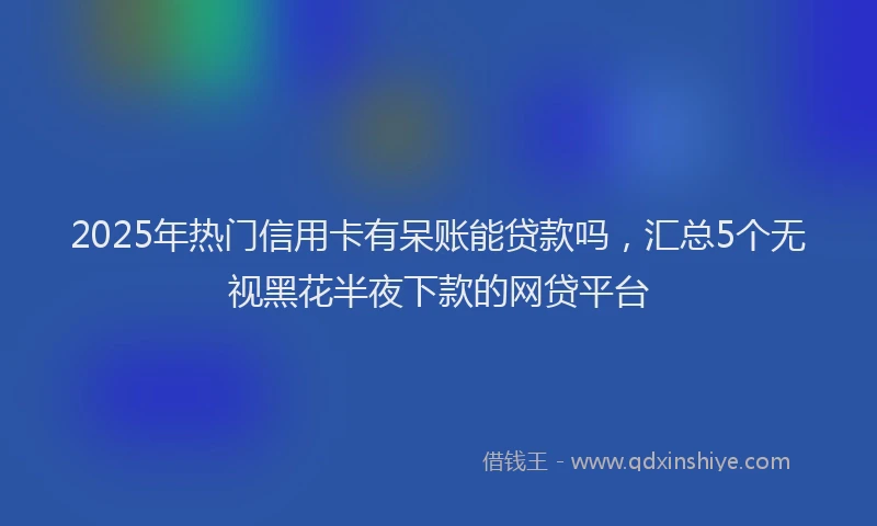 2025年热门信用卡有呆账能贷款吗，汇总5个无视黑花半夜下款的网贷平台