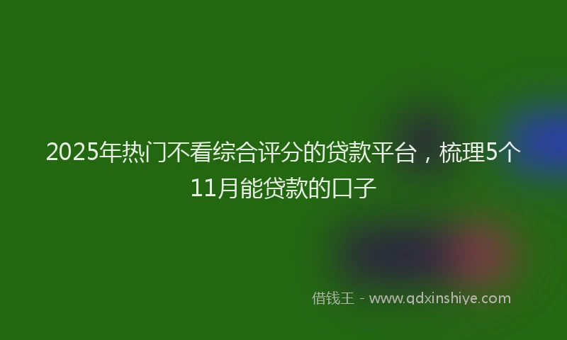 2025年热门不看综合评分的贷款平台，梳理5个11月能贷款的口子