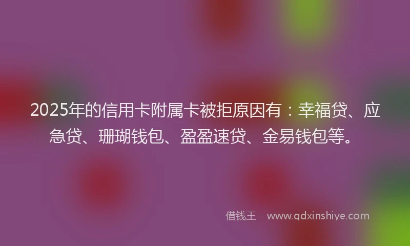 2025年的信用卡附属卡被拒原因有：幸福贷、应急贷、珊瑚钱包、盈盈速贷、金易钱包等。