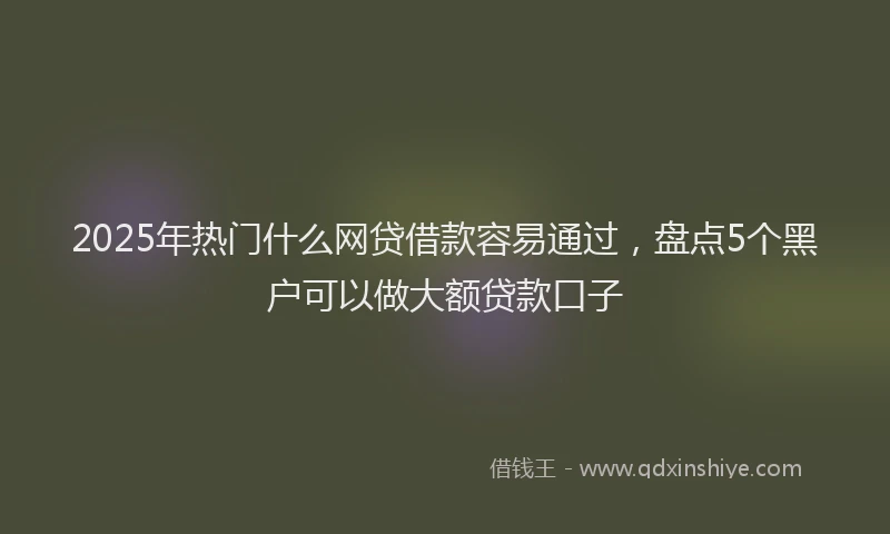 2025年热门什么网贷借款容易通过，盘点5个黑户可以做大额贷款口子