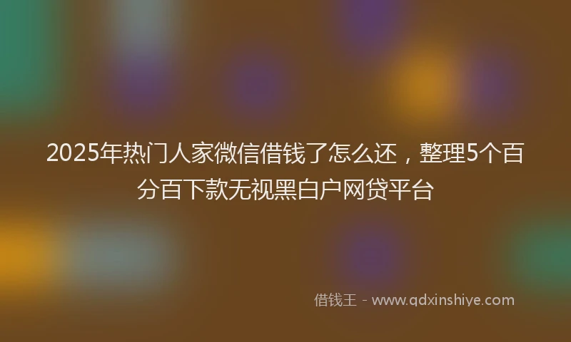2025年热门人家微信借钱了怎么还，整理5个百分百下款无视黑白户网贷平台