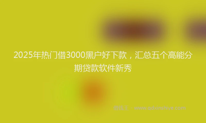 2025年热门借3000黑户好下款，汇总五个高能分期贷款软件新秀