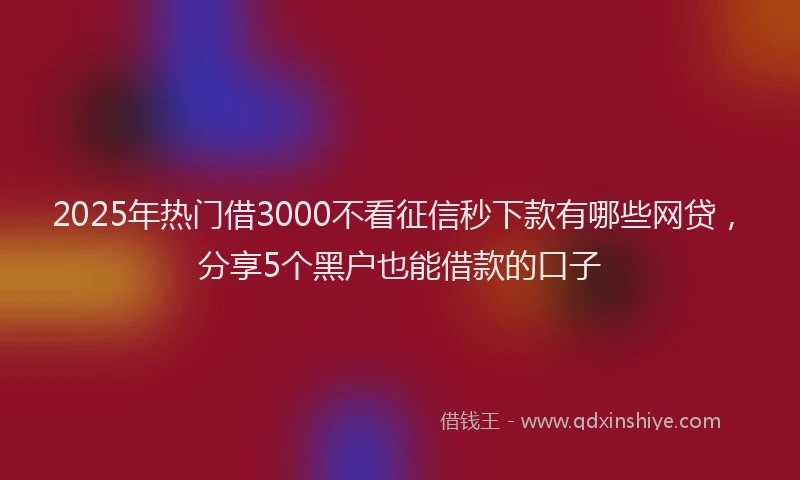 2025年热门借3000不看征信秒下款有哪些网贷，分享5个黑户也能借款的口子