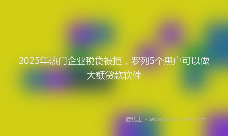 2025年热门企业税贷被拒，罗列5个黑户可以做大额贷款软件