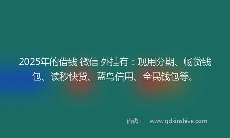 2025年的借钱 微信 外挂有：现用分期、畅贷钱包、读秒快贷、蓝鸟信用、全民钱包等。