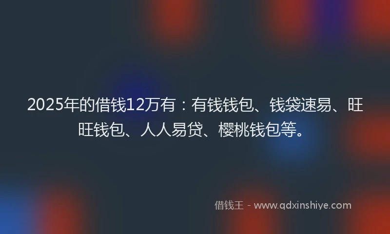 2025年的借钱12万有：有钱钱包、钱袋速易、旺旺钱包、人人易贷、樱桃钱包等。