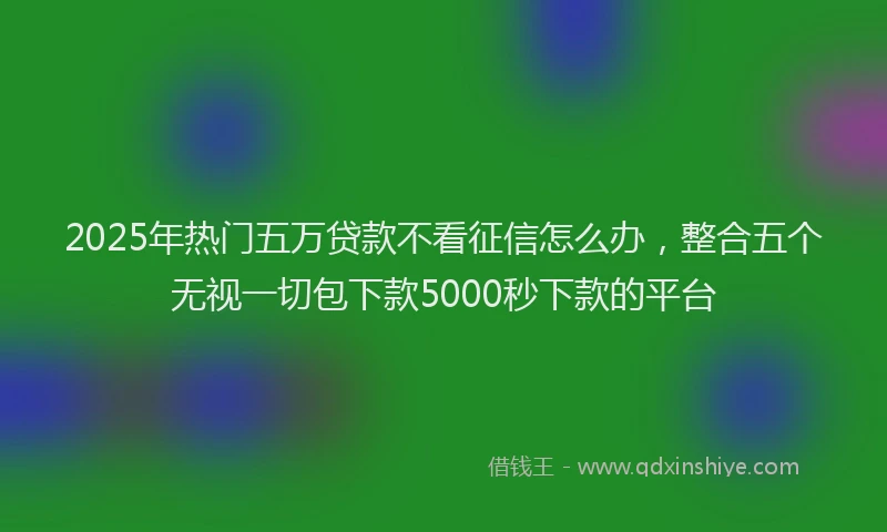 2025年热门五万贷款不看征信怎么办，整合五个无视一切包下款5000秒下款的平台