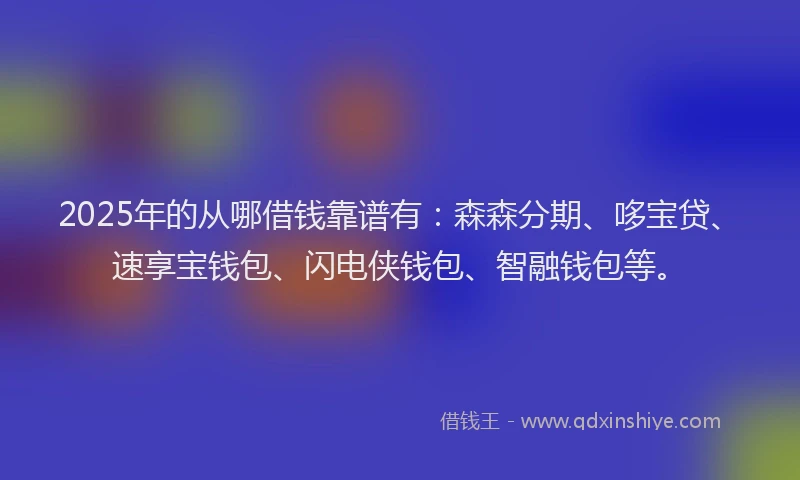 2025年的从哪借钱靠谱有：森森分期、哆宝贷、速享宝钱包、闪电侠钱包、智融钱包等。