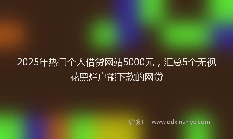 2025年热门个人借贷网站5000元，汇总5个无视花黑烂户能下款的网贷