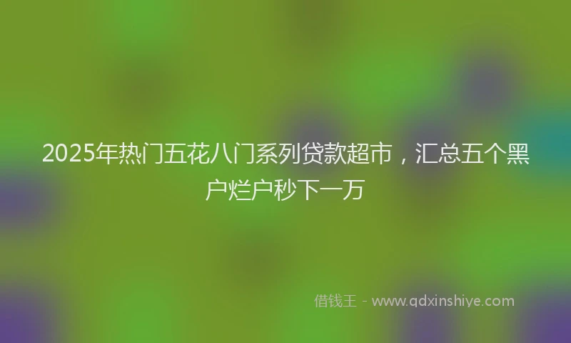 2025年热门五花八门系列贷款超市，汇总五个黑户烂户秒下一万