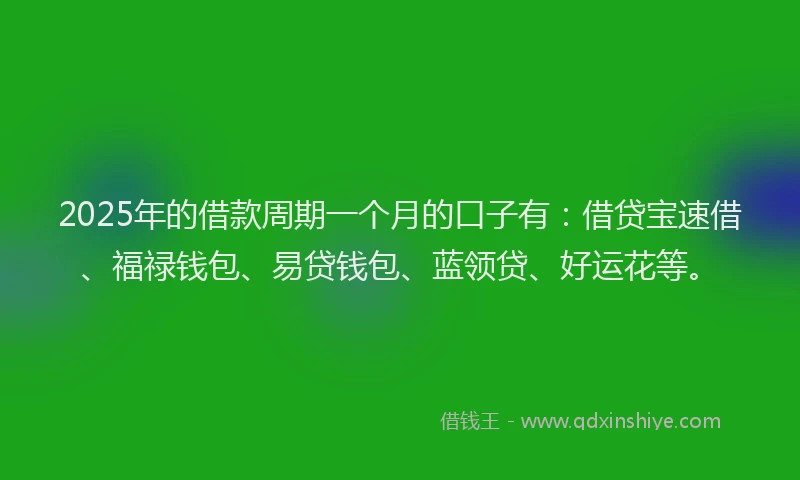 2025年的借款周期一个月的口子有：借贷宝速借、福禄钱包、易贷钱包、蓝领贷、好运花等。