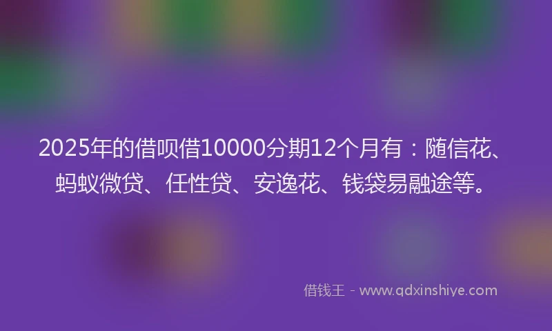 2025年的借呗借10000分期12个月有：随信花、蚂蚁微贷、任性贷、安逸花、钱袋易融途等。
