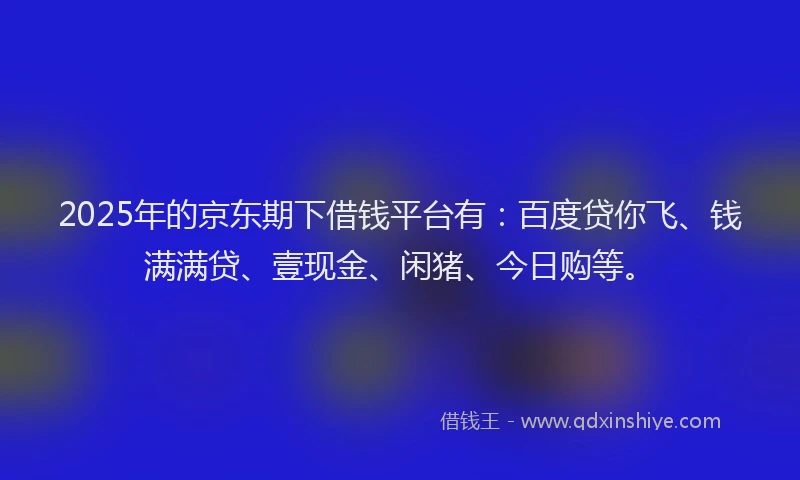 2025年的京东期下借钱平台有：百度贷你飞、钱满满贷、壹现金、闲猪、今日购等。