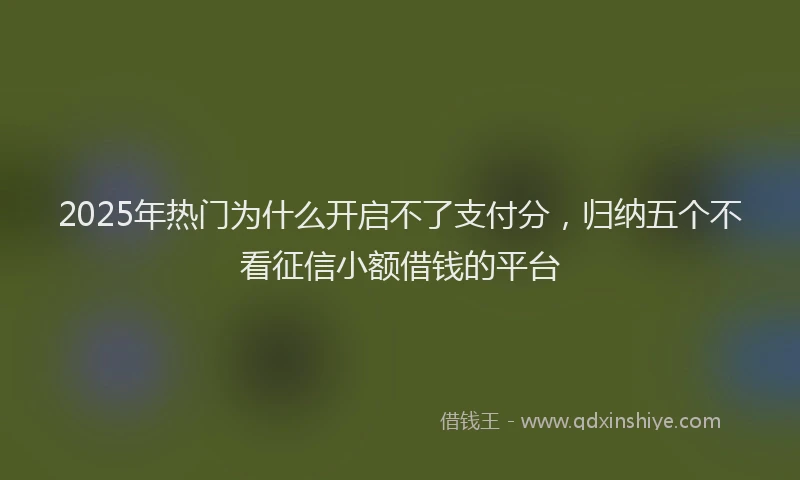 2025年热门为什么开启不了支付分，归纳五个不看征信小额借钱的平台