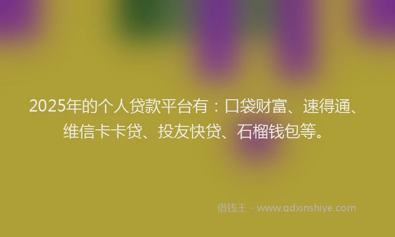 2025年的个人贷款平台有：口袋财富、速得通、维信卡卡贷、投友快贷、石榴钱包等。