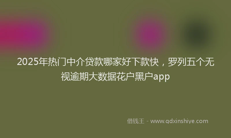 2025年热门中介贷款哪家好下款快,罗列五个无视逾期大数据花户黑户app
