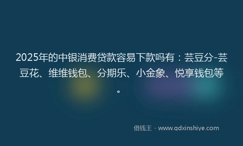 2025年的中银消费贷款容易下款吗有：芸豆分-芸豆花、维维钱包、分期乐、小金象、悦享钱包等。