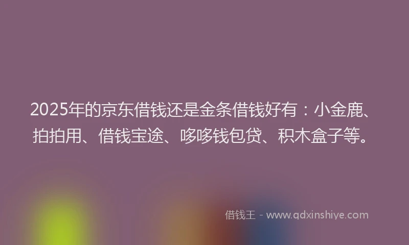 2025年的京东借钱还是金条借钱好有：小金鹿、拍拍用、借钱宝途、哆哆钱包贷、积木盒子等。