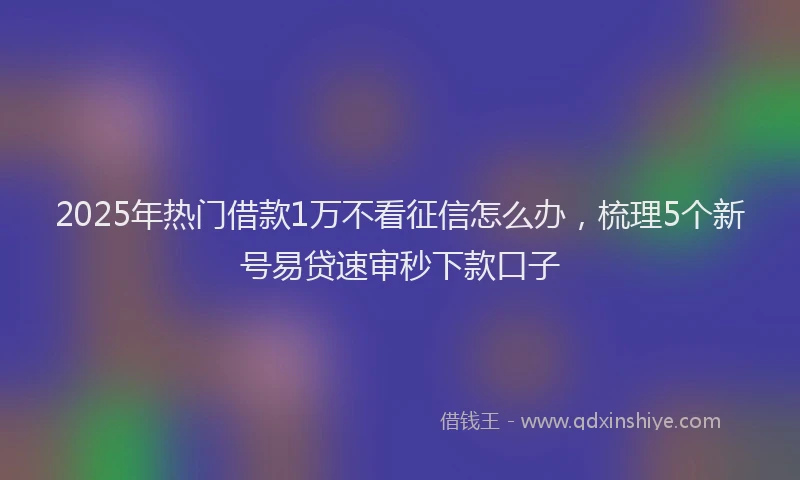 2025年热门借款1万不看征信怎么办，梳理5个新号易贷速审秒下款口子