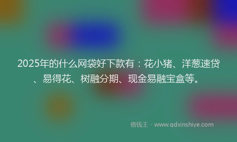 2025年的什么网袋好下款有：花小猪、洋葱速贷、易得花、树融分期、现金易融宝盒等。