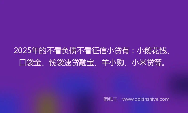 2025年的不看负债不看征信小贷有：小鹅花钱、口袋金、钱袋速贷融宝、羊小购、小米贷等。