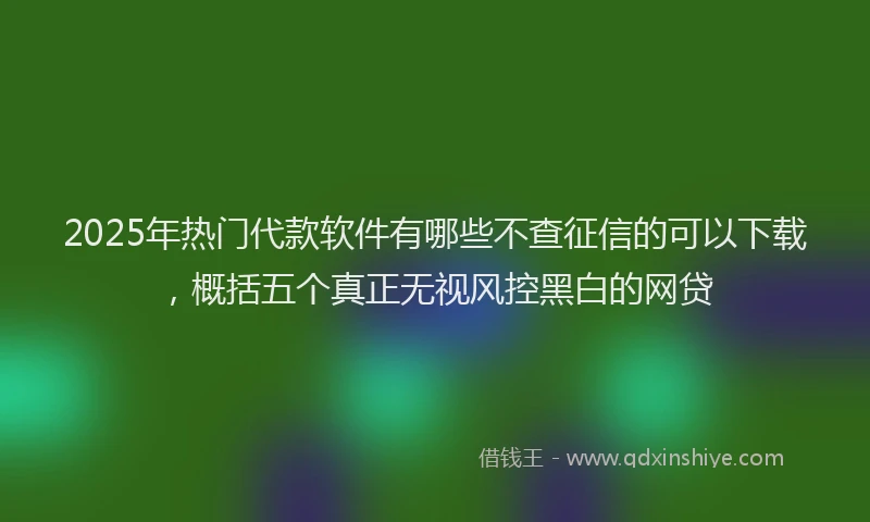 2025年热门代款软件有哪些不查征信的可以下载，概括五个真正无视风控黑白的网贷