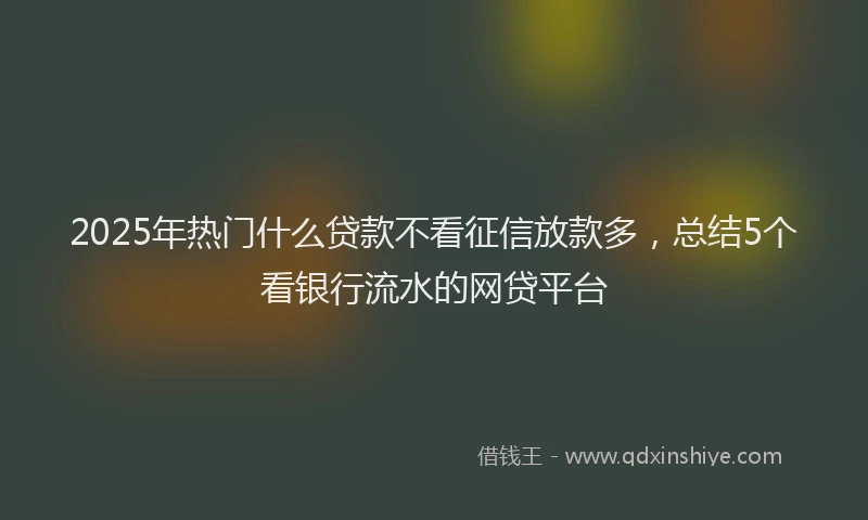2025年热门什么贷款不看征信放款多，总结5个看银行流水的网贷平台