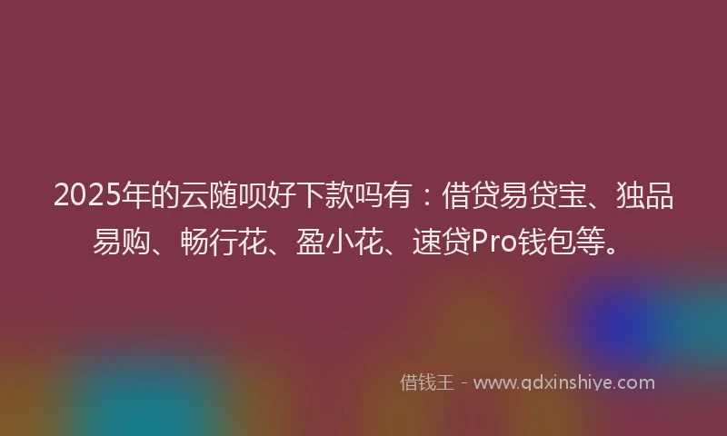 2025年的云随呗好下款吗有：借贷易贷宝、独品易购、畅行花、盈小花、速贷Pro钱包等。