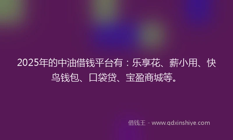 2025年的中油借钱平台有：乐享花、薪小用、快鸟钱包、口袋贷、宝盈商城等。