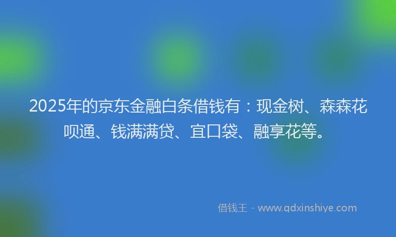 2025年的京东金融白条借钱有：现金树、森森花呗通、钱满满贷、宜口袋、融享花等。