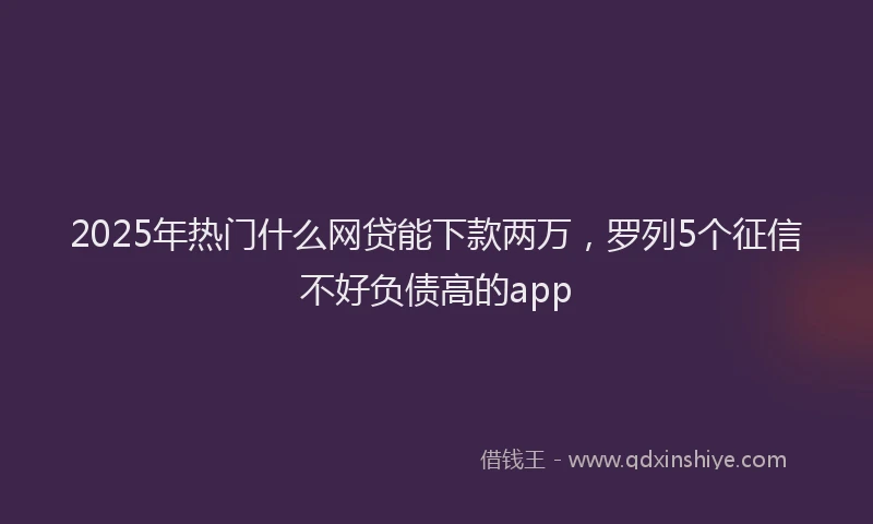 2025年热门什么网贷能下款两万，罗列5个征信不好负债高的app