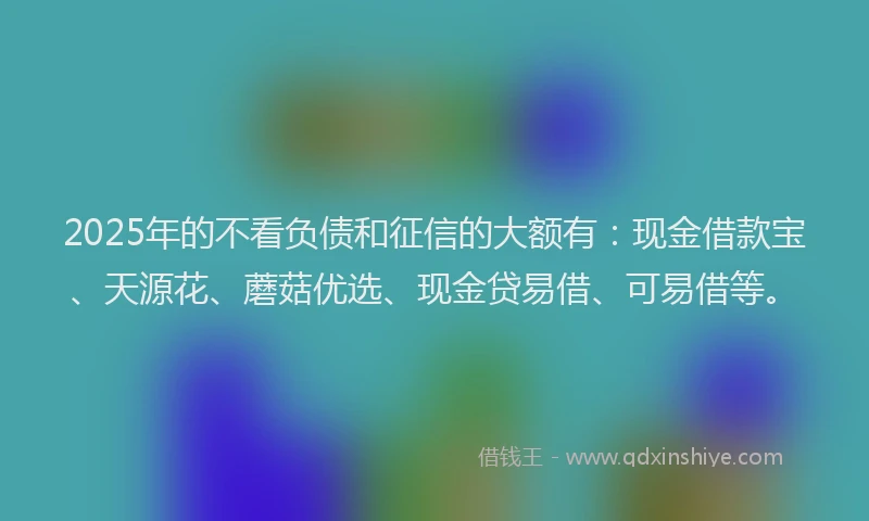 2025年的不看负债和征信的大额有：现金借款宝、天源花、蘑菇优选、现金贷易借、可易借等。