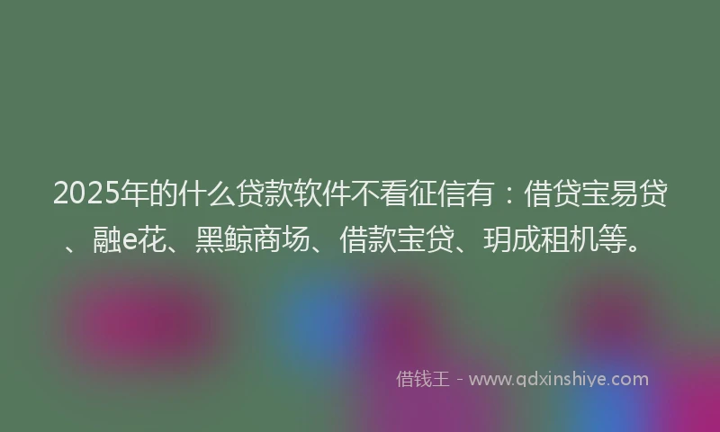 2025年的什么贷款软件不看征信有：借贷宝易贷、融e花、黑鲸商场、借款宝贷、玥成租机等。
