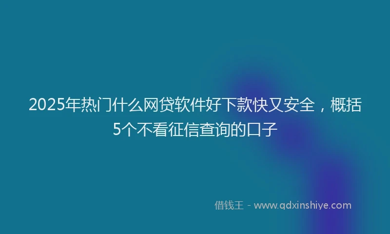 2025年热门什么网贷软件好下款快又安全，概括5个不看征信查询的口子