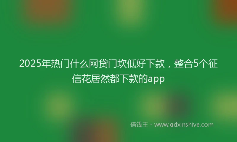 2025年热门什么网贷门坎低好下款，整合5个征信花居然都下款的app
