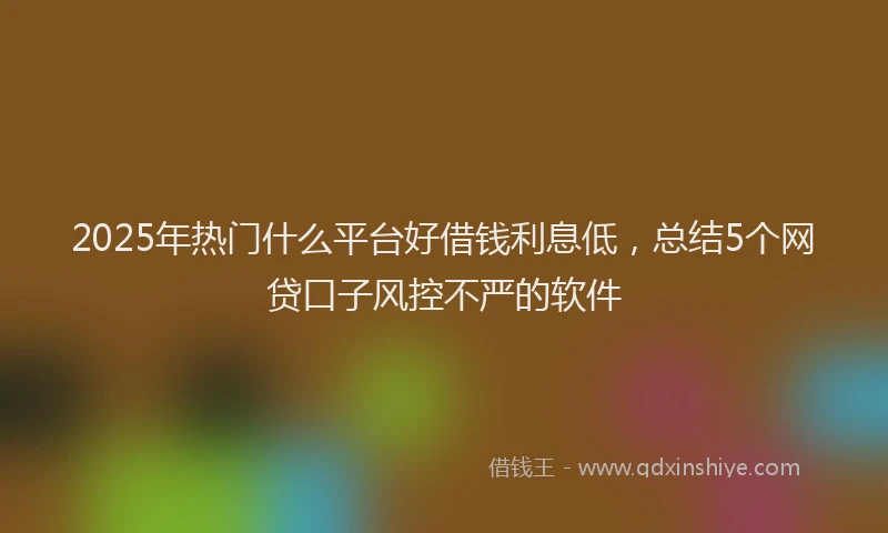 2025年热门什么平台好借钱利息低，总结5个网贷口子风控不严的软件