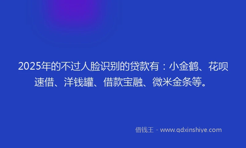 2025年的不过人脸识别的贷款有：小金鹤、花呗速借、洋钱罐、借款宝融、微米金条等。