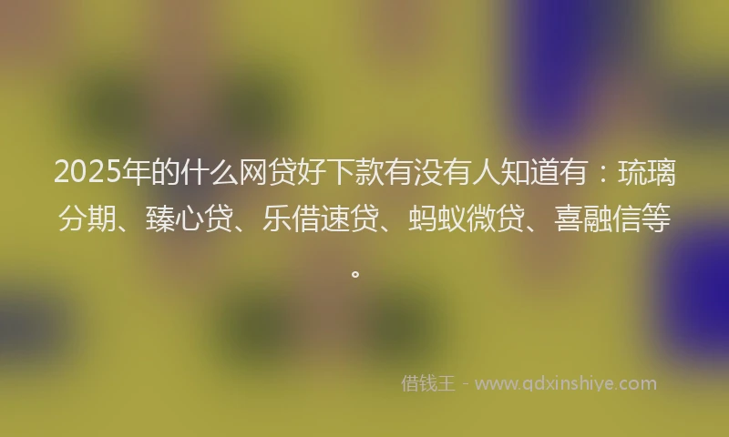 2025年的什么网贷好下款有没有人知道有：琉璃分期、臻心贷、乐借速贷、蚂蚁微贷、喜融信等。