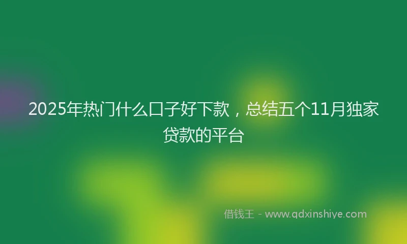 2025年热门什么口子好下款，总结五个11月独家贷款的平台