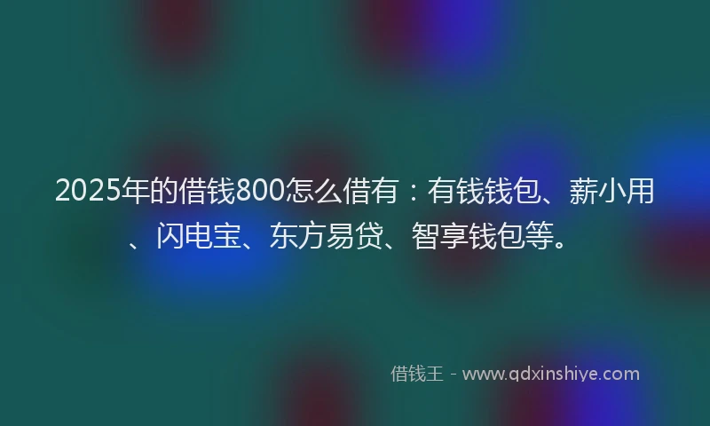 2025年的借钱800怎么借有：有钱钱包、薪小用、闪电宝、东方易贷、智享钱包等。