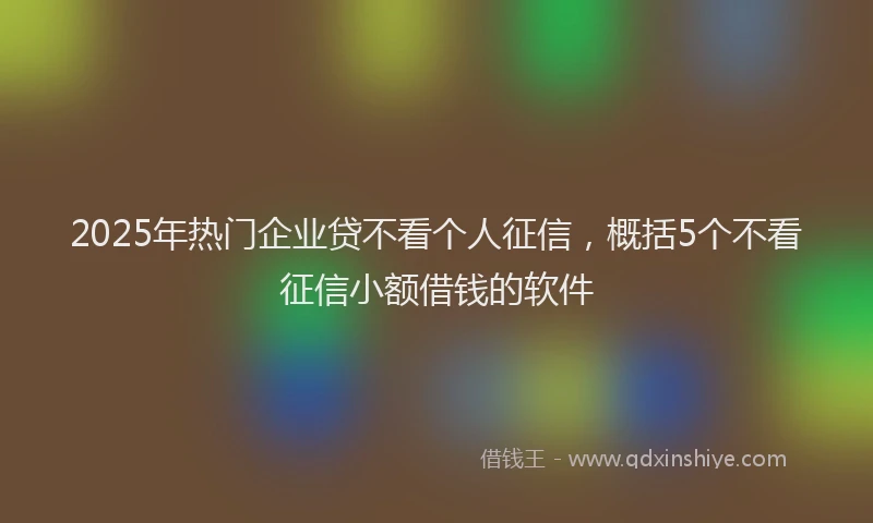 2025年热门企业贷不看个人征信，概括5个不看征信小额借钱的软件