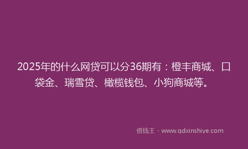 2025年的什么网贷可以分36期有：橙丰商城、口袋金、瑞雪贷、橄榄钱包、小狗商城等。