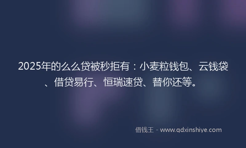 2025年的么么贷被秒拒有：小麦粒钱包、云钱袋、借贷易行、恒瑞速贷、替你还等。