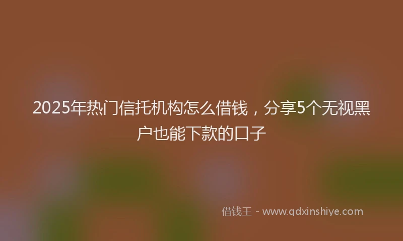 2025年热门信托机构怎么借钱，分享5个无视黑户也能下款的口子