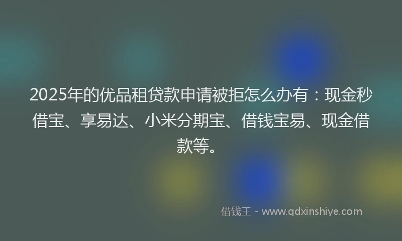 2025年的优品租贷款申请被拒怎么办有：现金秒借宝、享易达、小米分期宝、借钱宝易、现金借款等。