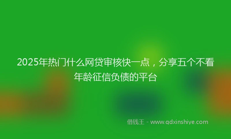 2025年热门什么网贷审核快一点，分享五个不看年龄征信负债的平台