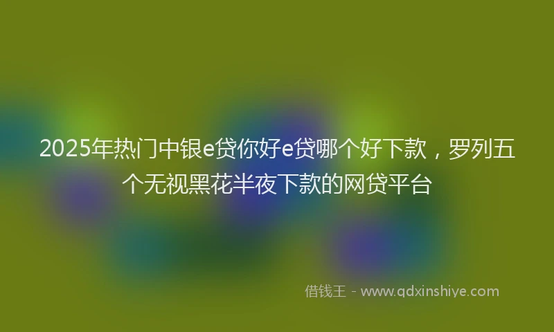 2025年热门中银e贷你好e贷哪个好下款，罗列五个无视黑花半夜下款的网贷平台